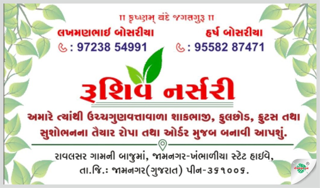 રૂશિવ નર્સરી