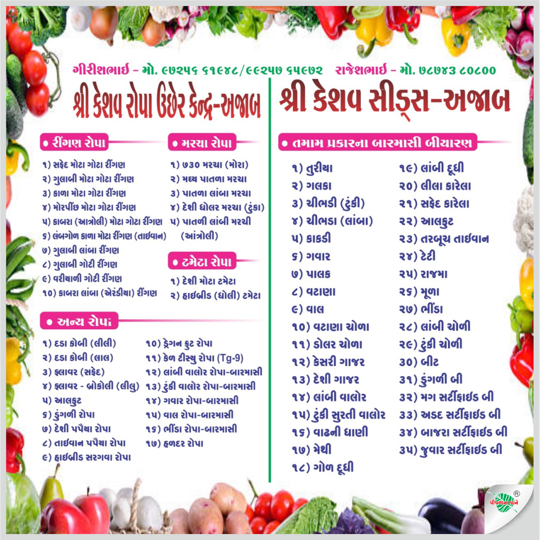 શ્રી કેશવ રોપા ઉછેર કેન્દ્ર અજાબ