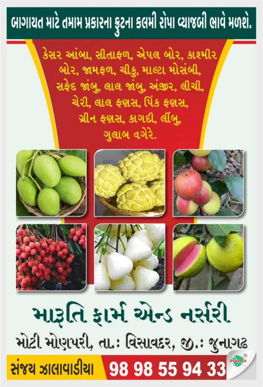 મારુતિ ફાર્મ & નર્સરી