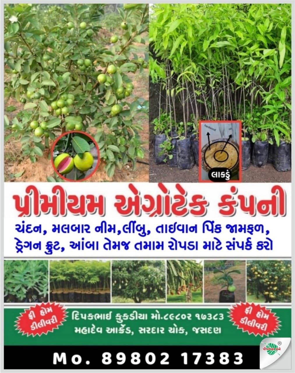 પ્રીમિયમ એગ્રોટેક કંપની