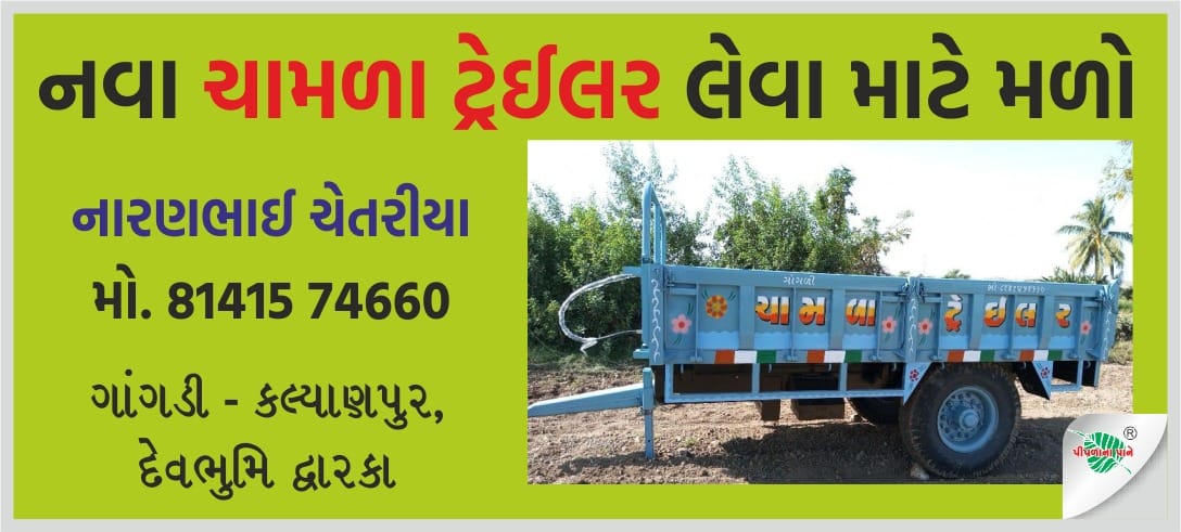 નારણભાઈ ચેતરીયા