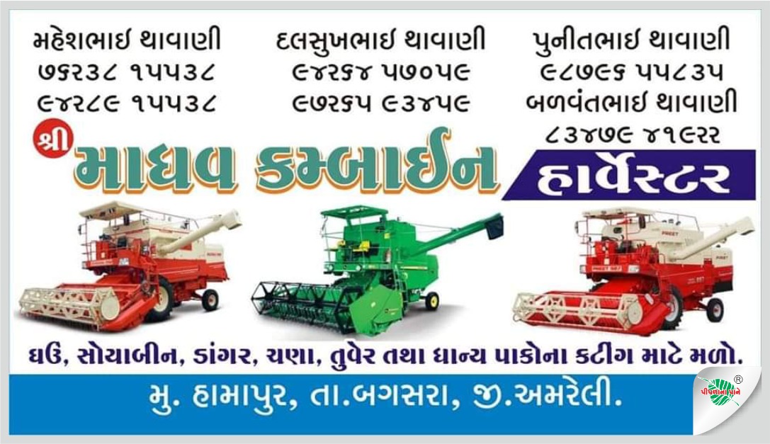 શ્રી માધવ ઓટો કન્સલ્ટ