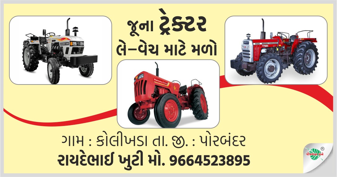 રાયદેભાઈ ખુંટી