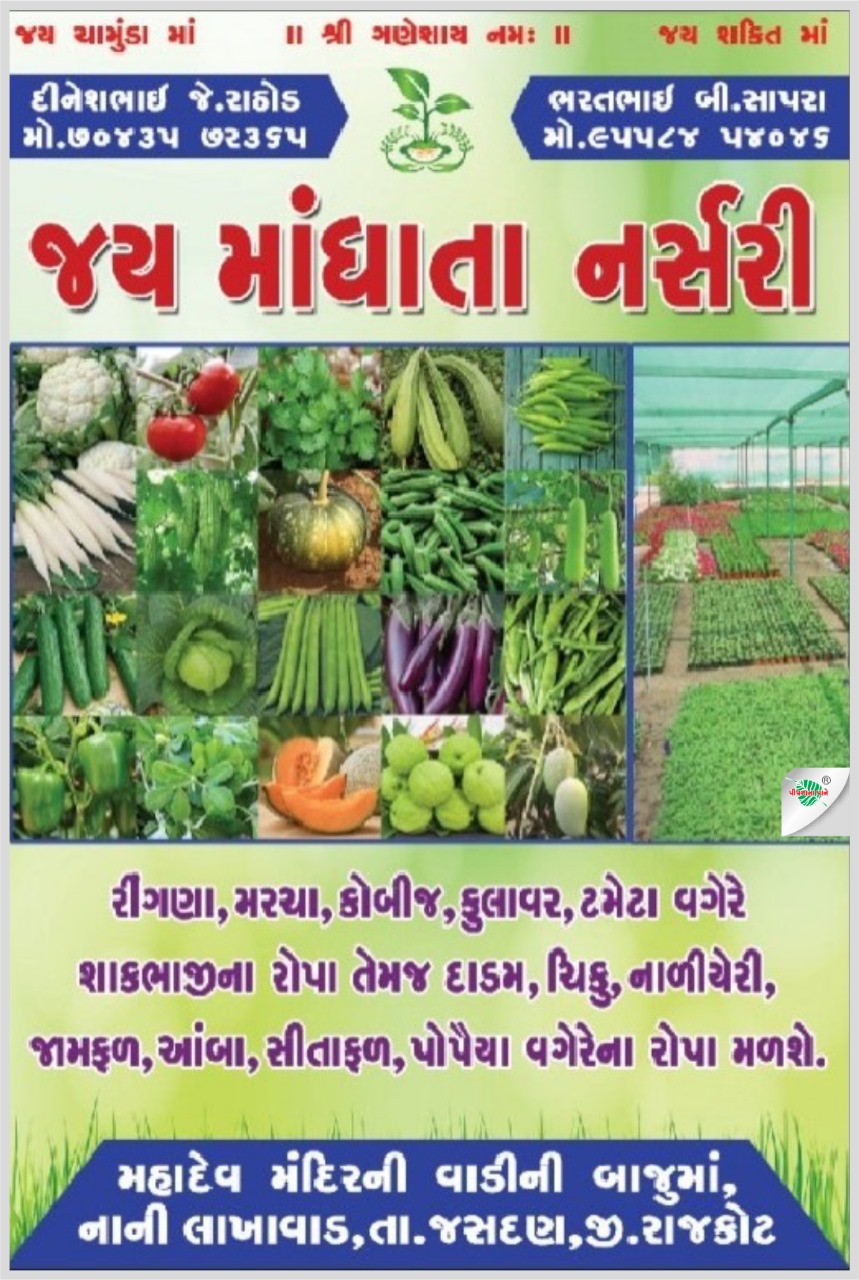 જય માંધાતા નર્સરી