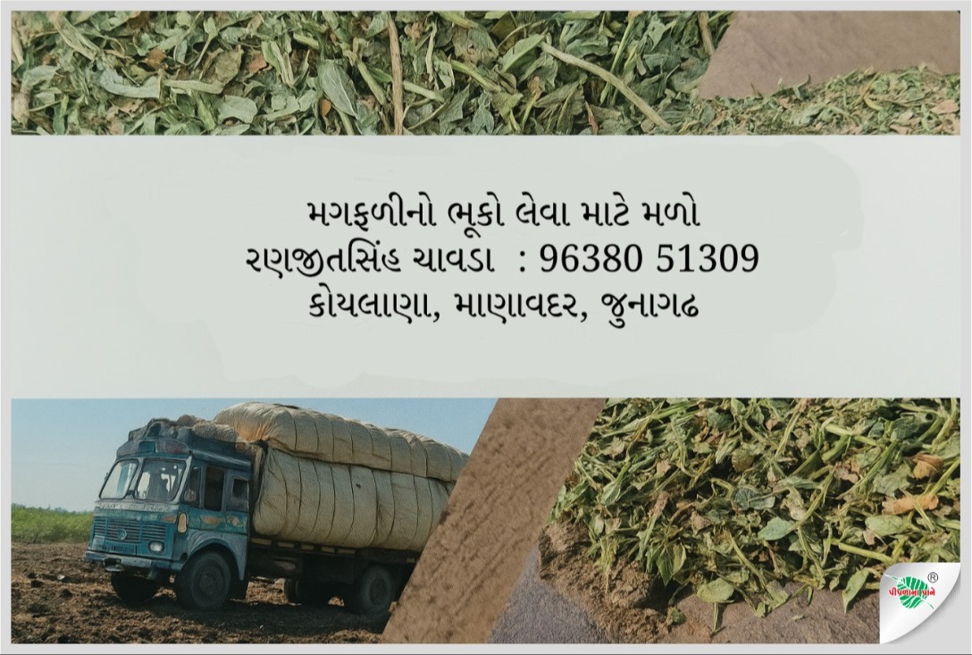 રણજીતસિંહ ચાવડા