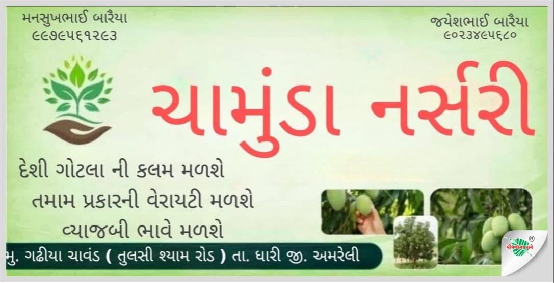 ચામુંડા નર્સરી ફાર્મ