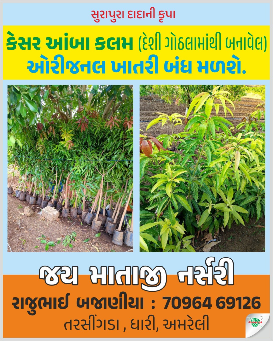 જય માતાજી નર્સરી