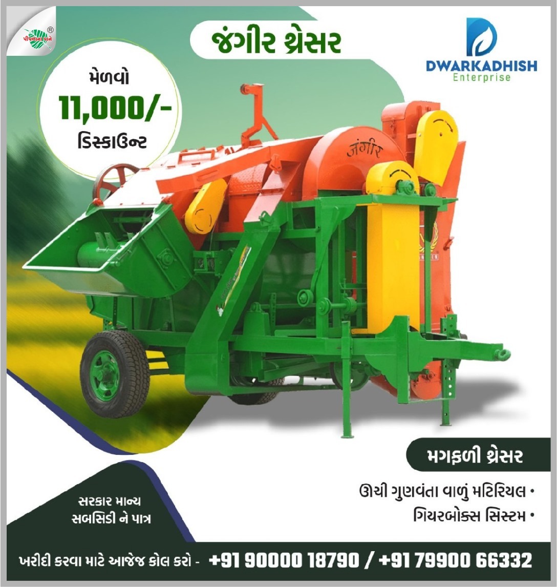 દ્વારકાધીશ એન્ટરપ્રાઈઝ