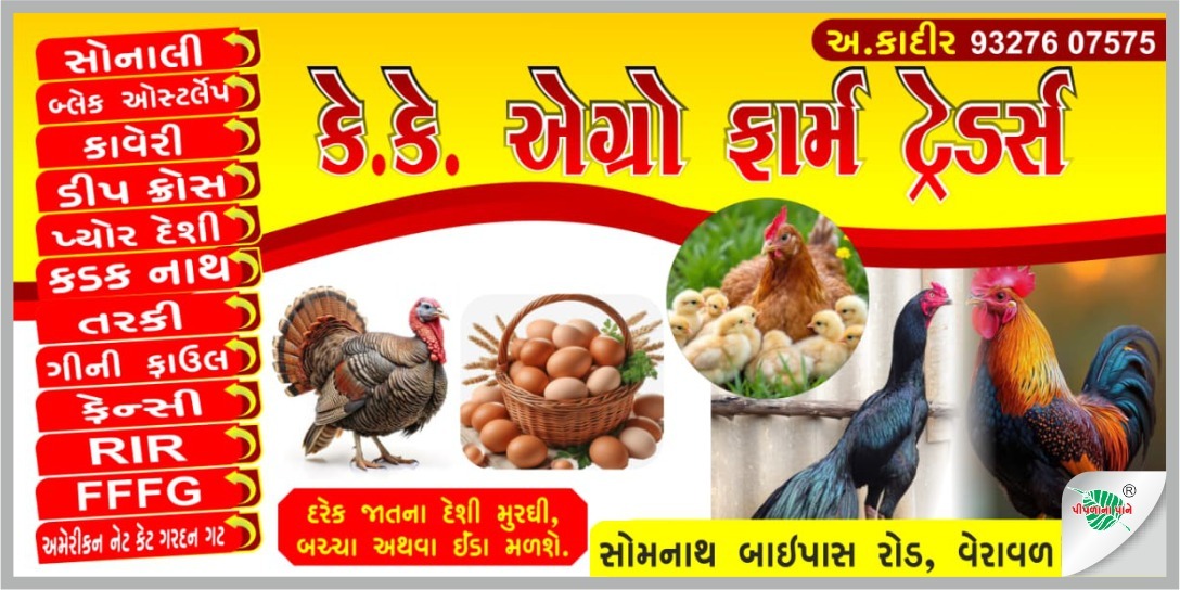 કેકે પોલ્ટ્રી ફાર્મ્સ