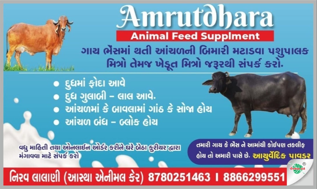 આસ્થા એનિમલ કેર
