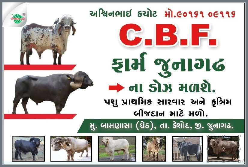 અશ્વિનભાઈ કછોટ