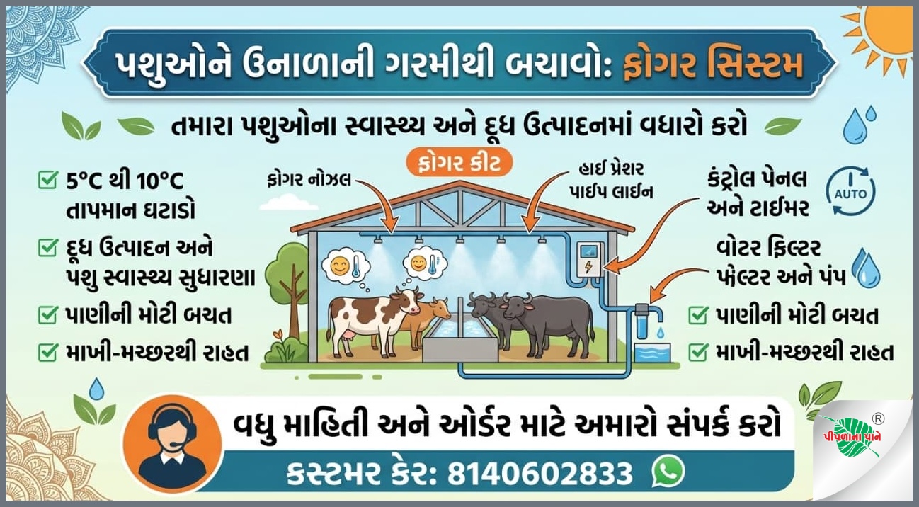 સંદીપભાઈ કુબાવત
