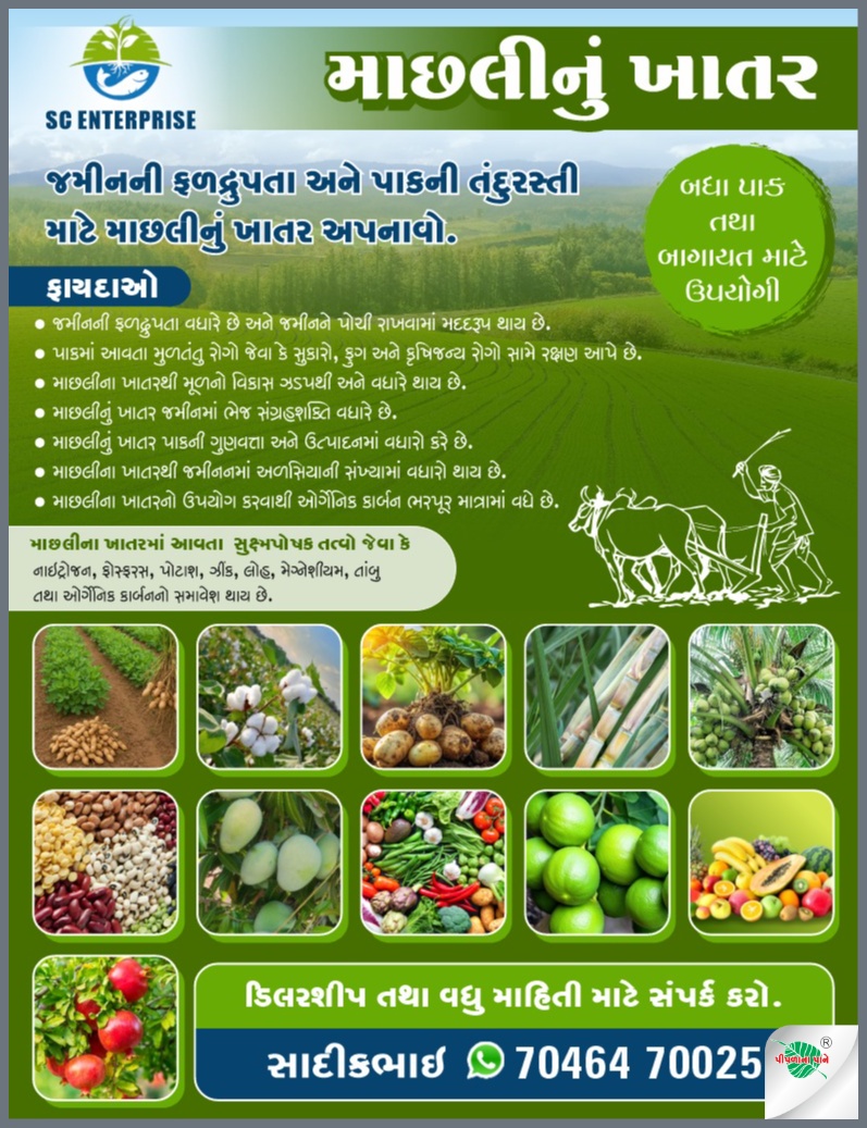 સાદિકભાઈ ચોરવાડા