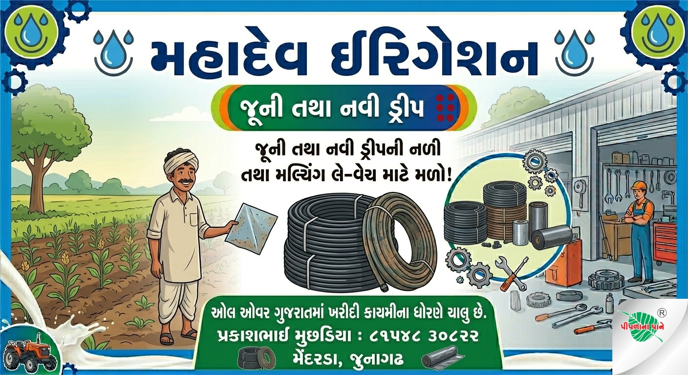 મહાદેવ ઇરિગેશન