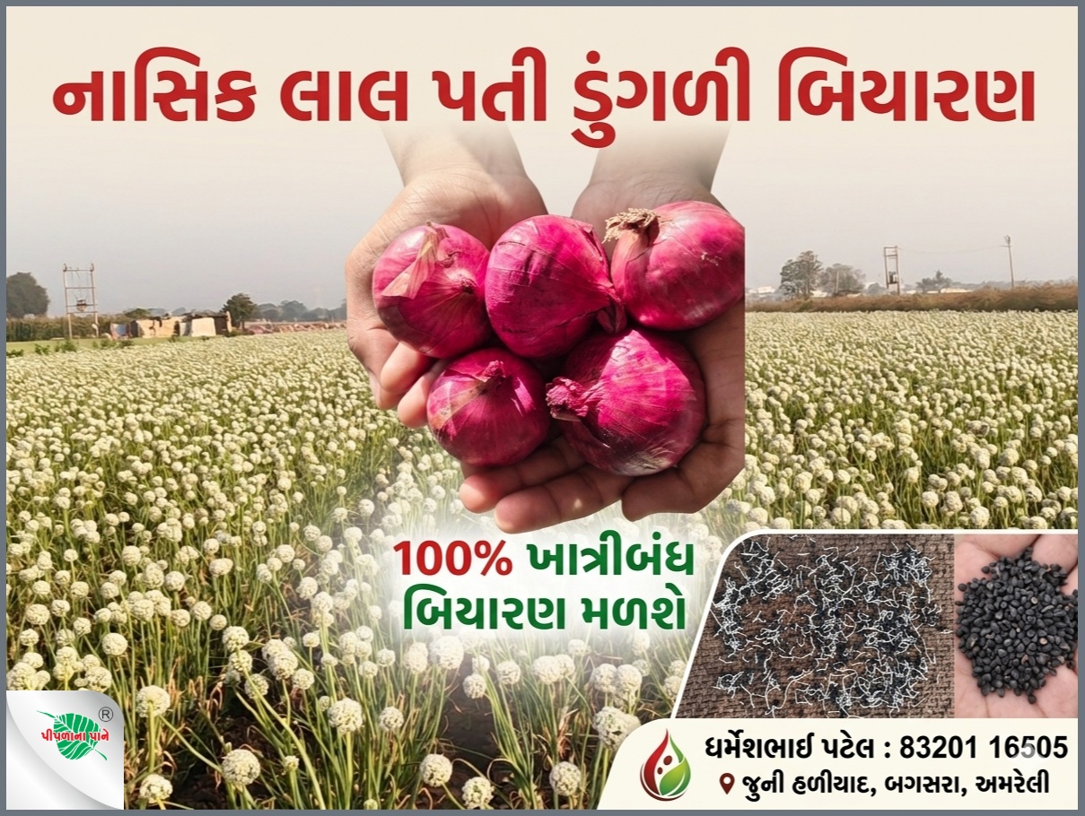 ધર્મેશભાઈ પટેલ