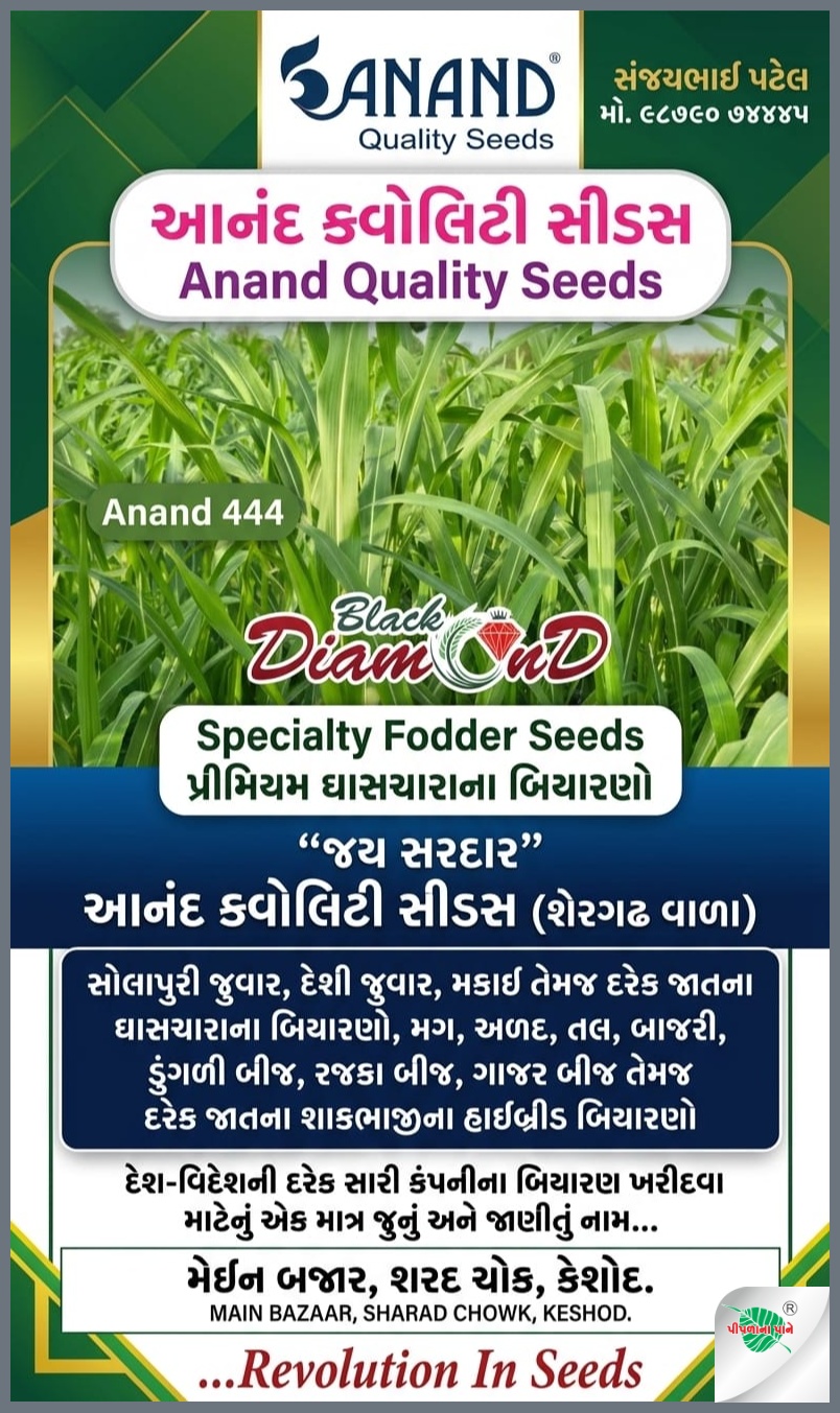 આનંદ ક્વોલિટી સીડ્સ