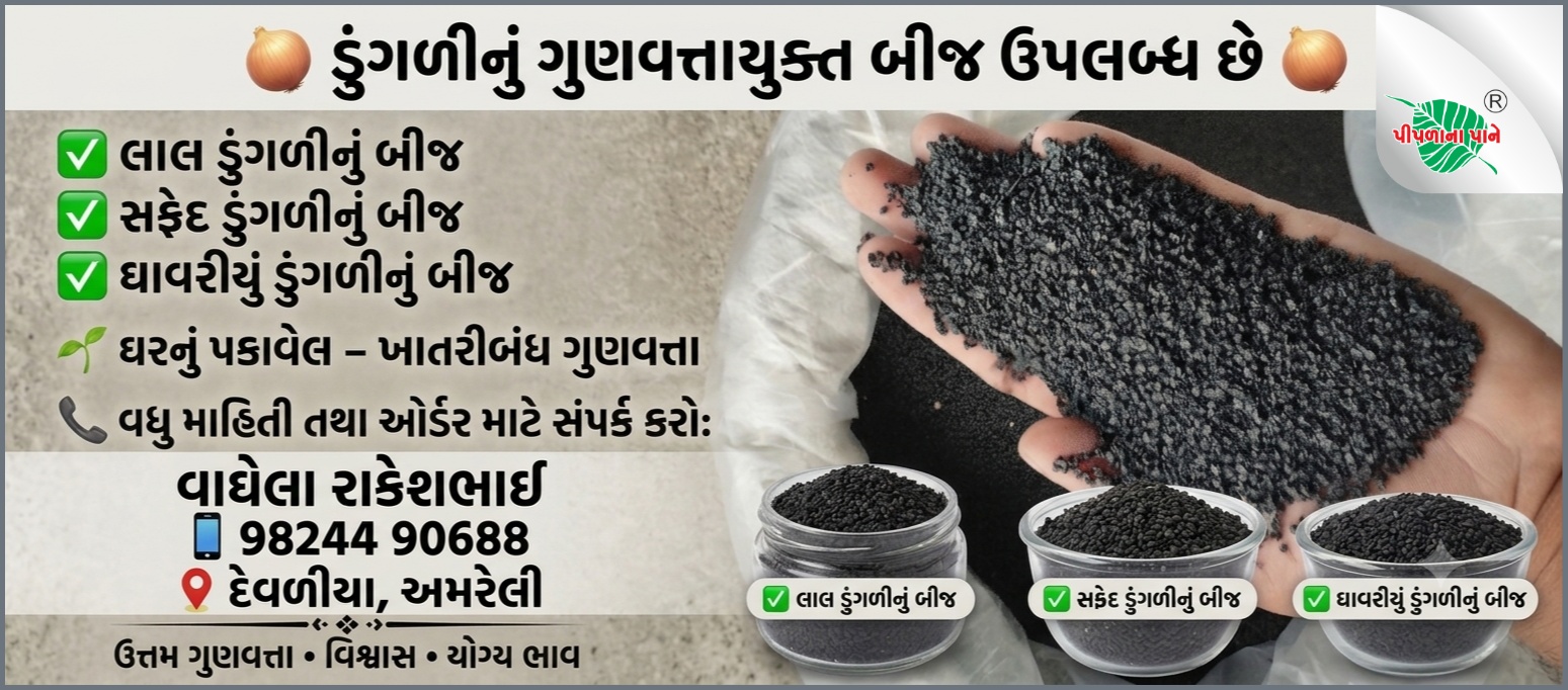 રાકેશભાઈ વાઘેલા
