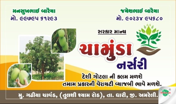 ચામુંડા નર્સરી ફાર્મ