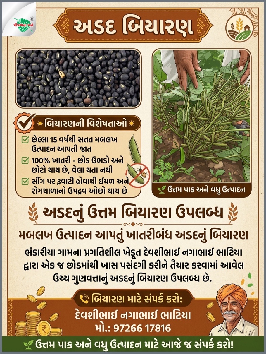 લવભાઈ ભાટિયા