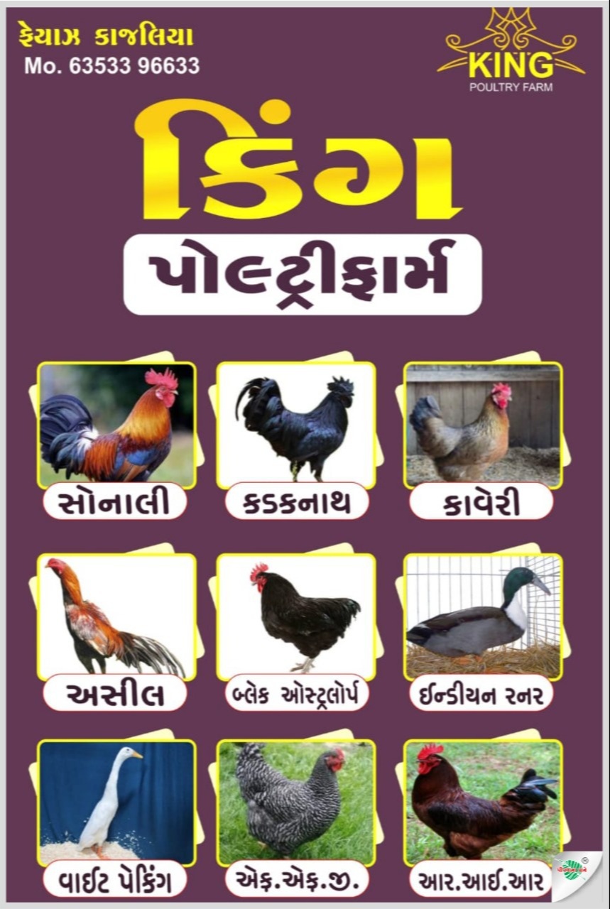 કિંગ મરઘા ફાર્મ