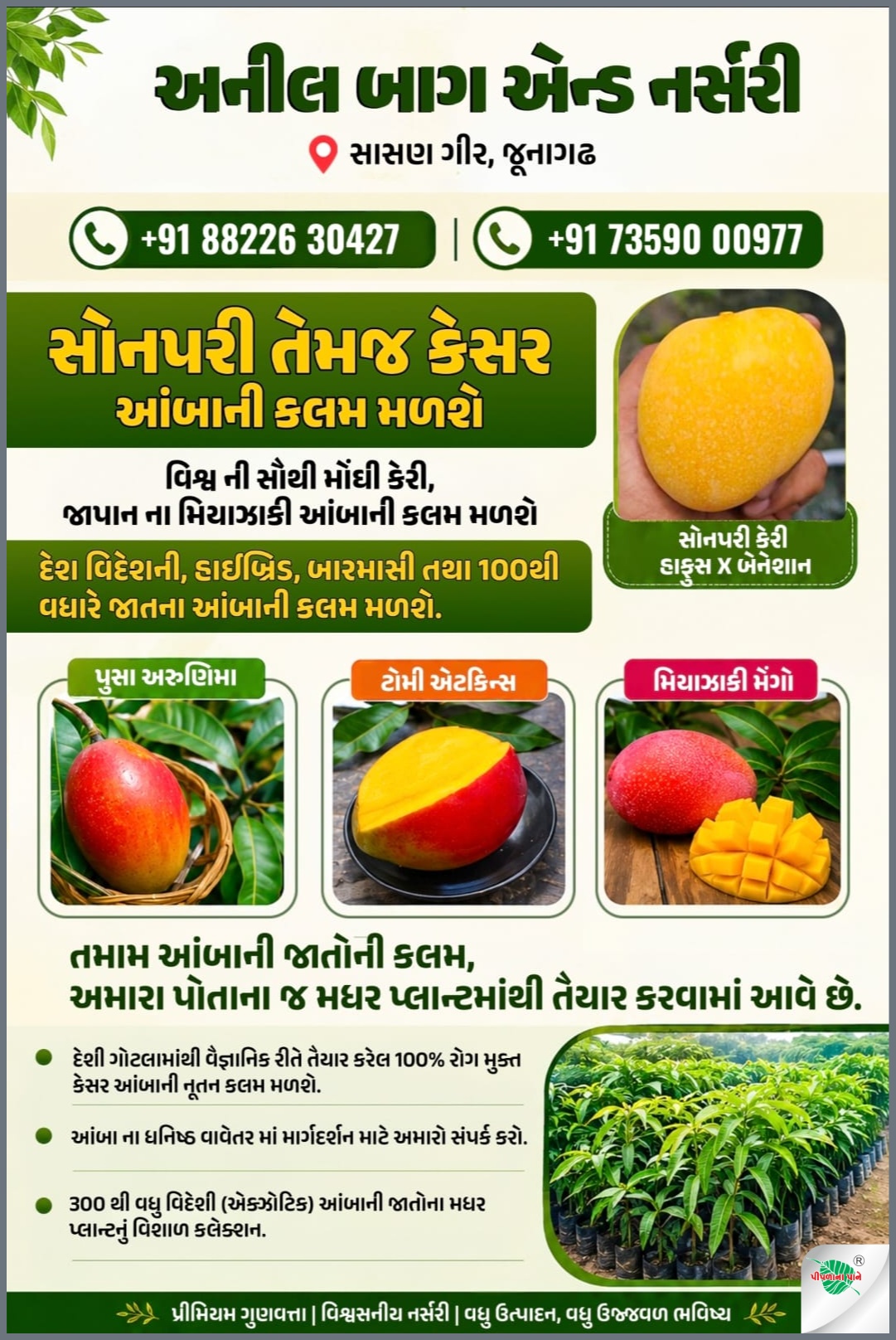 અનીલ બાગ & નર્સરી