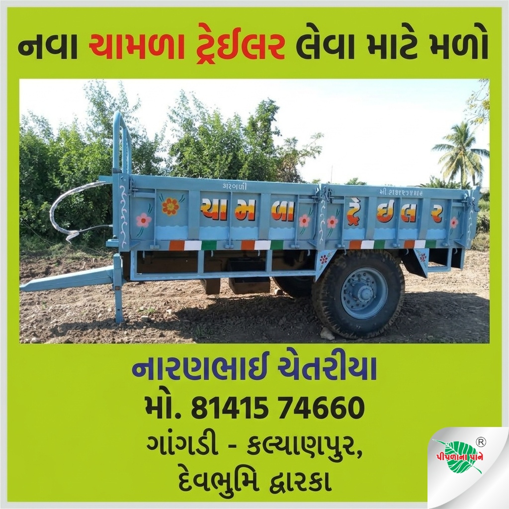 નારણભાઈ ચેતરીયા