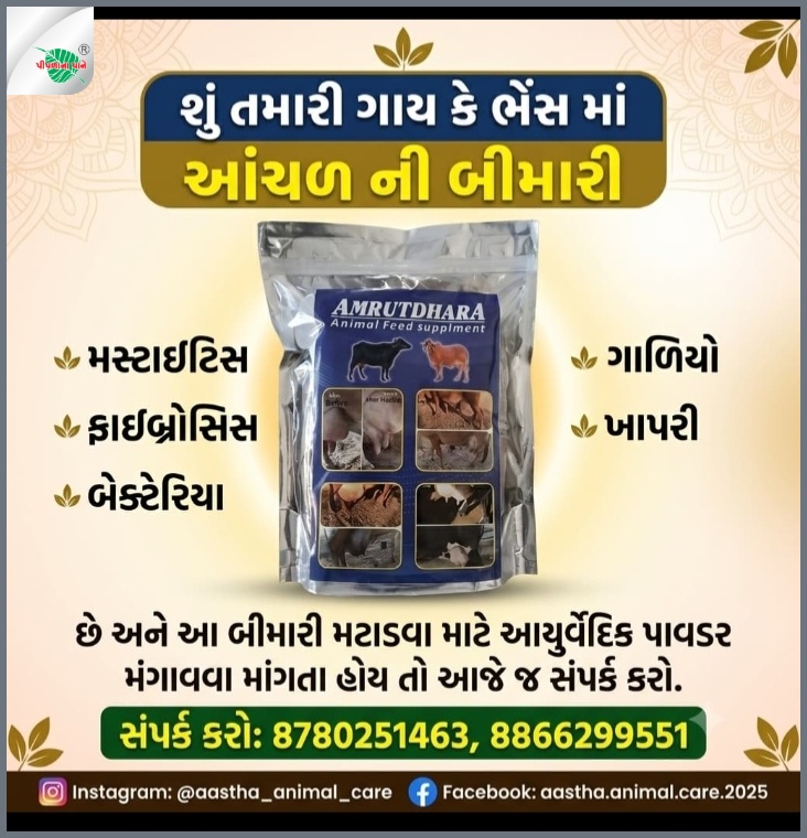 આસ્થા એનિમલ કેર