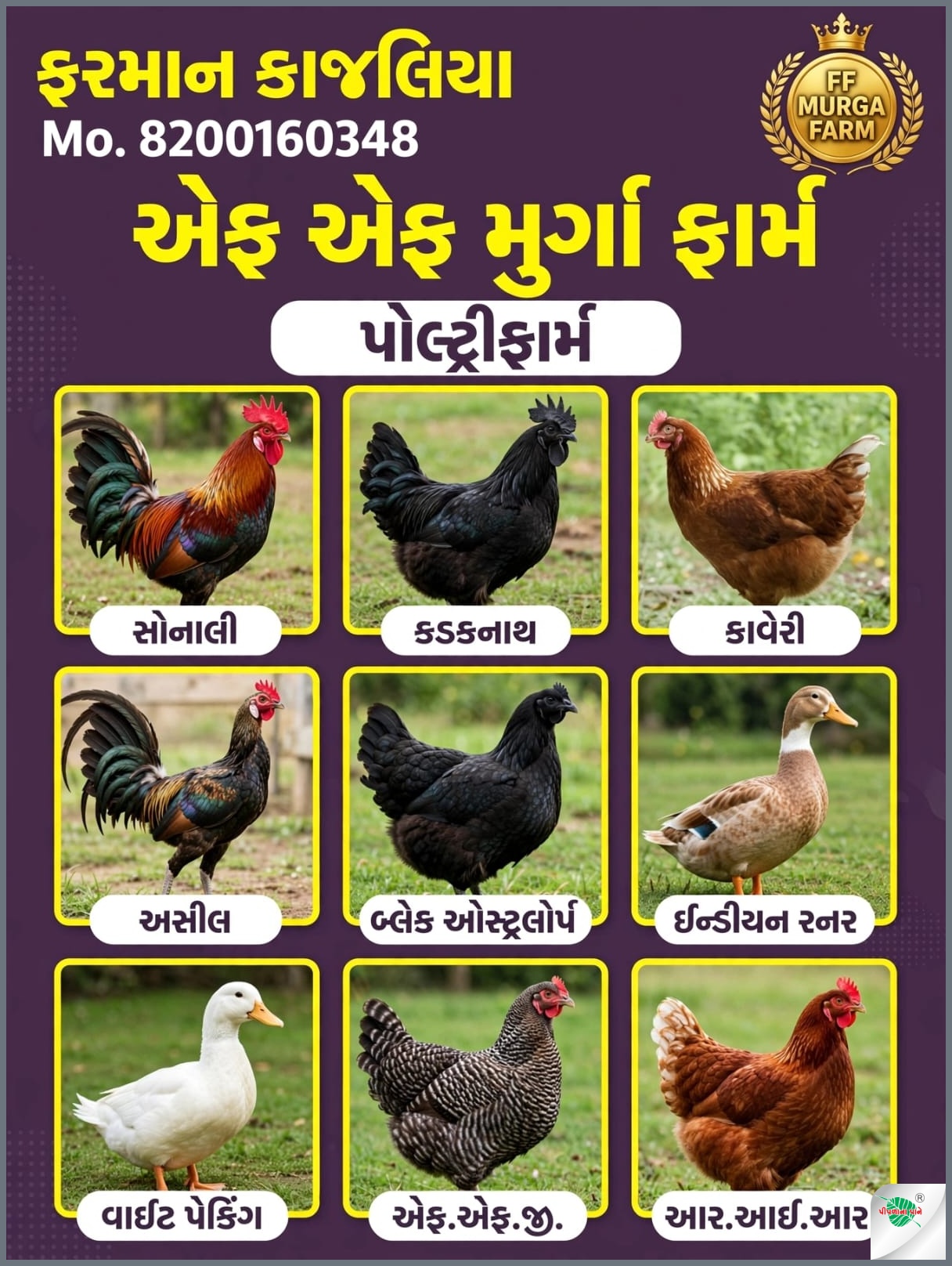 એફ એફ મુર્ગા ફાર્મ
