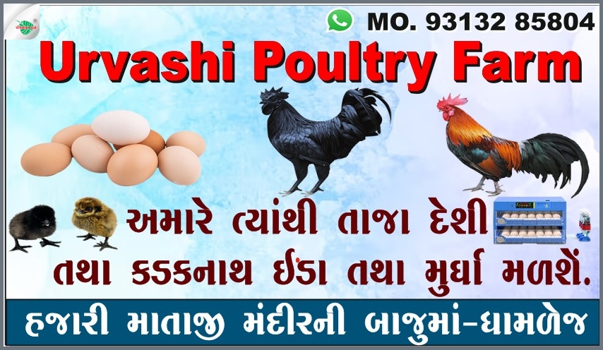 ઉર્વશી પોલ્ટ્રી ફાર્મ