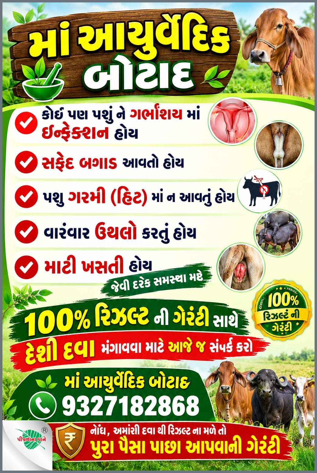 મા આયુર્વેદિક બોટાદ