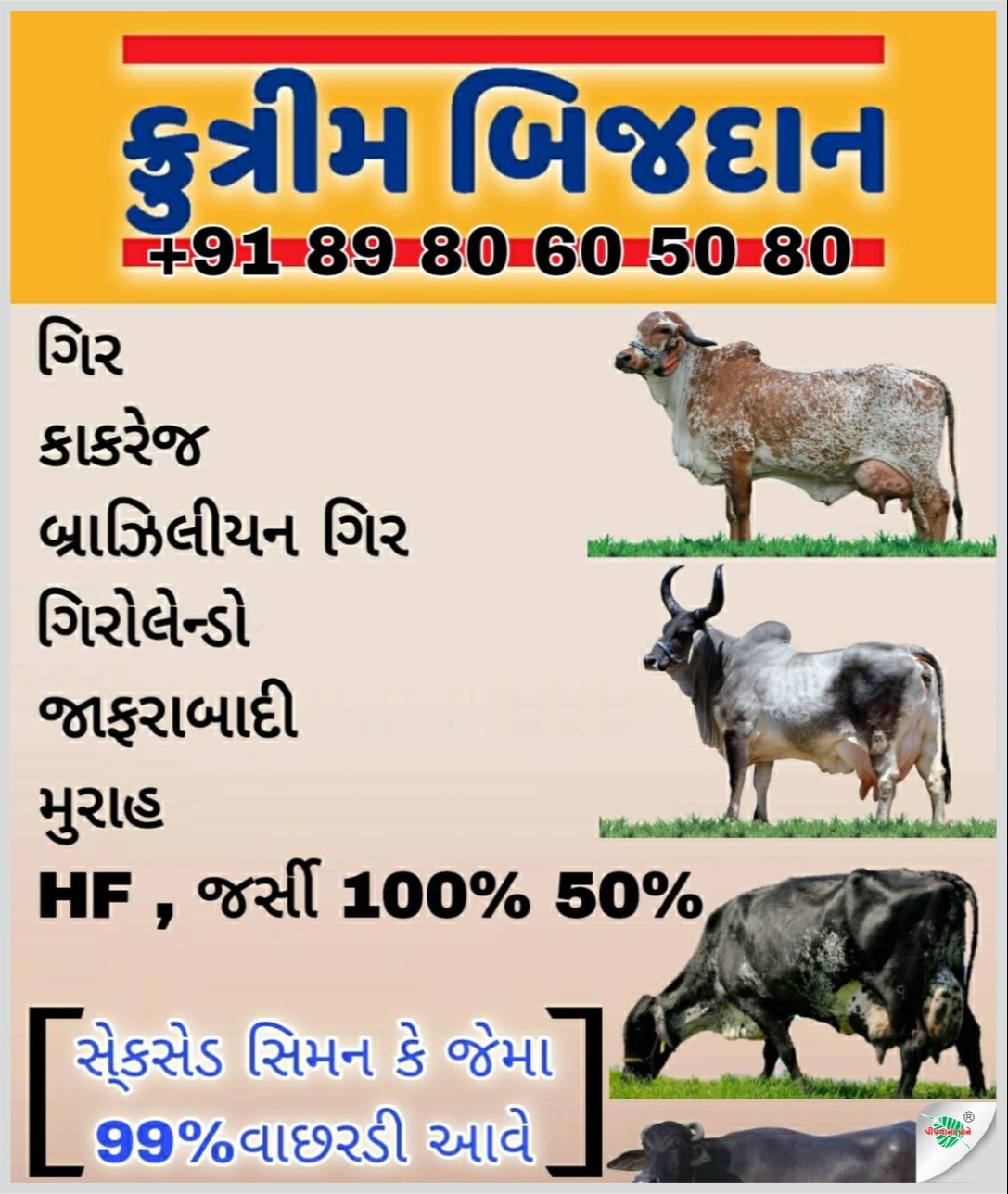 સિદ્ધરાજ પી.રાઠોડ