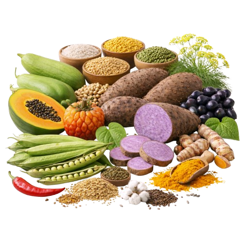 खेत उत्तपादन