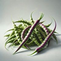 Rat Tail Radish(Mogari)