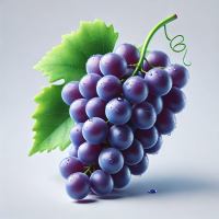 द्राक्षे