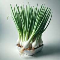 हिरवा कांदा