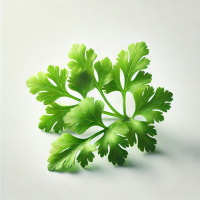 कोथिंबीरीची (पाने)