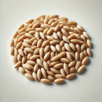 बार्ली (जॅ)