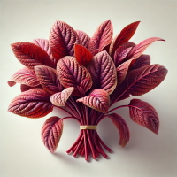 राजगिरा