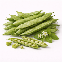 सुरत बीन्स (पापडी)