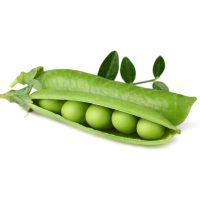 मटर की फली