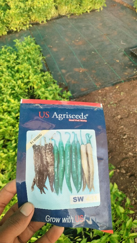 Post Image 6