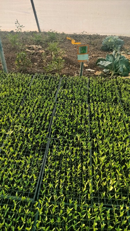 Post Image 4