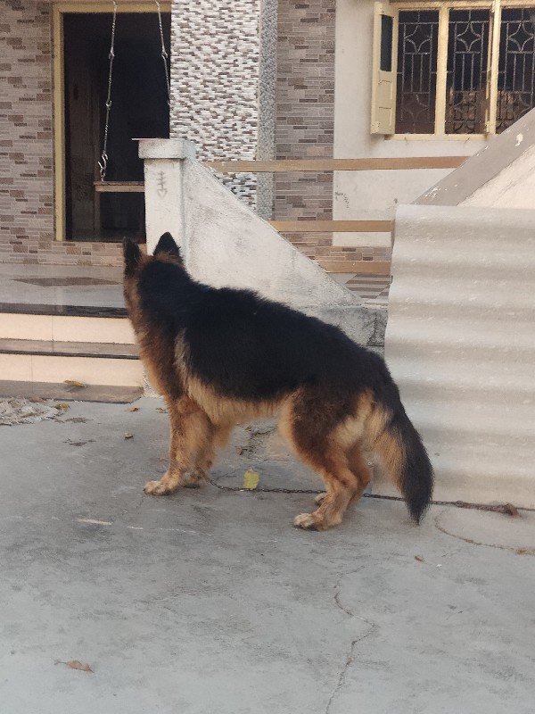 Post Image 3