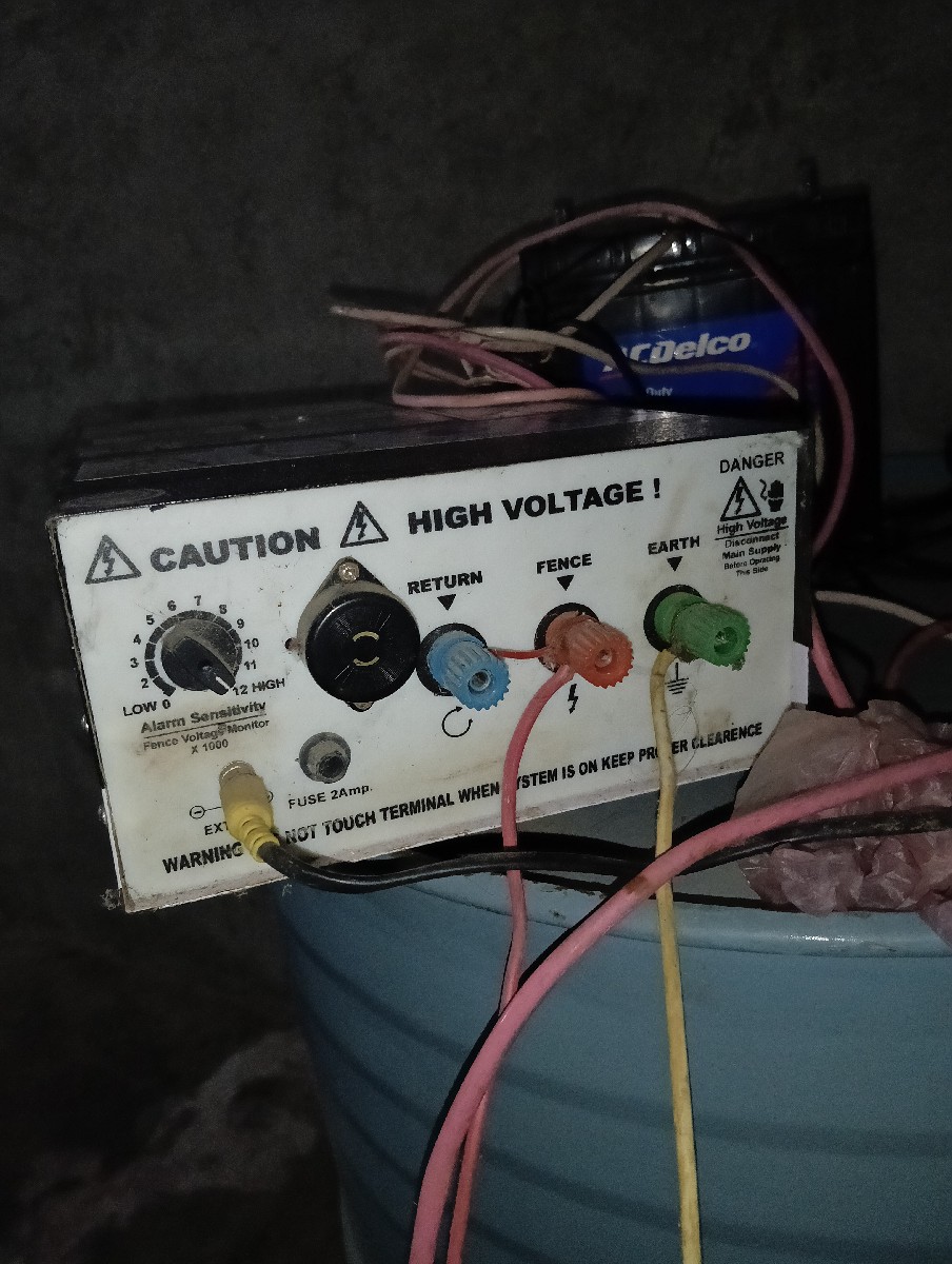 Post Image 3