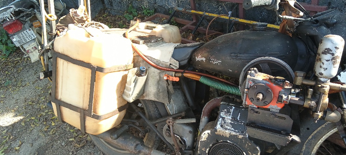 Post Image 3