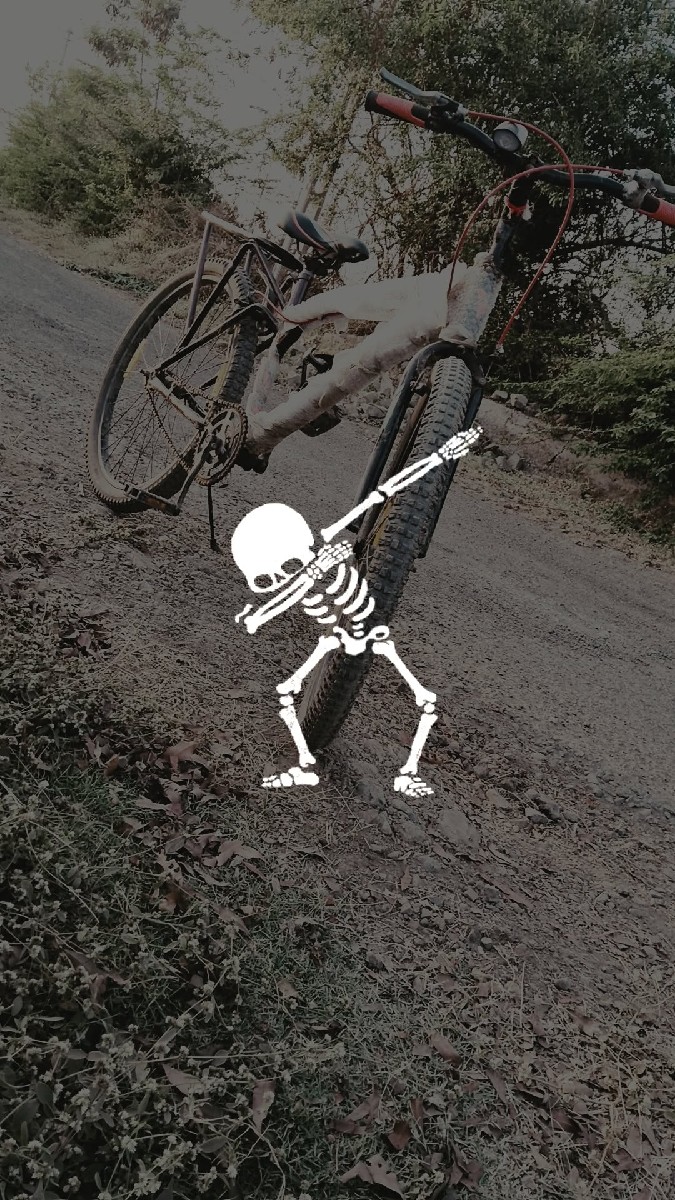 Post Image 3