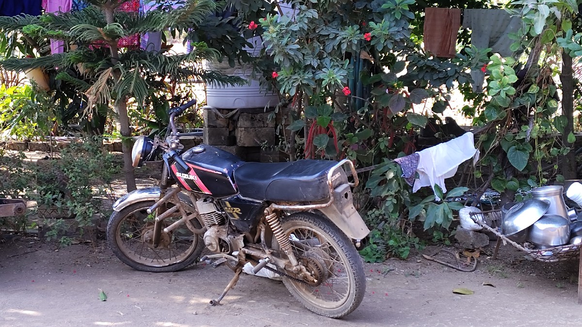 Post Image 2