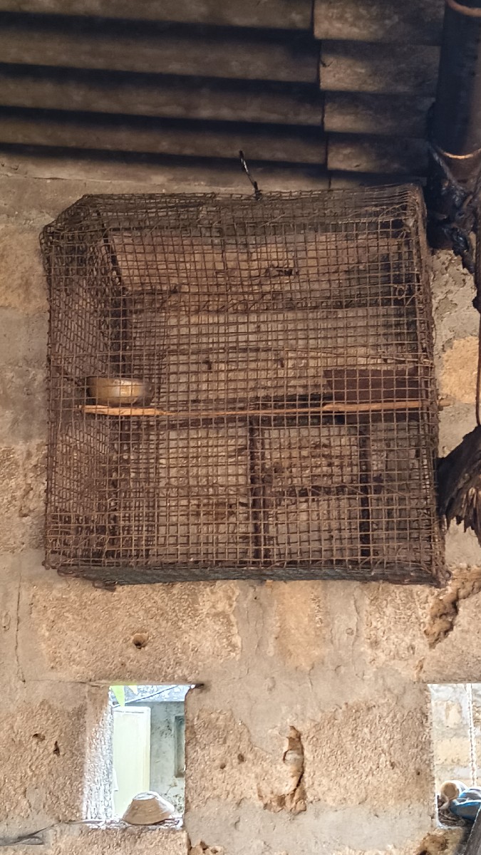 Post Image 1