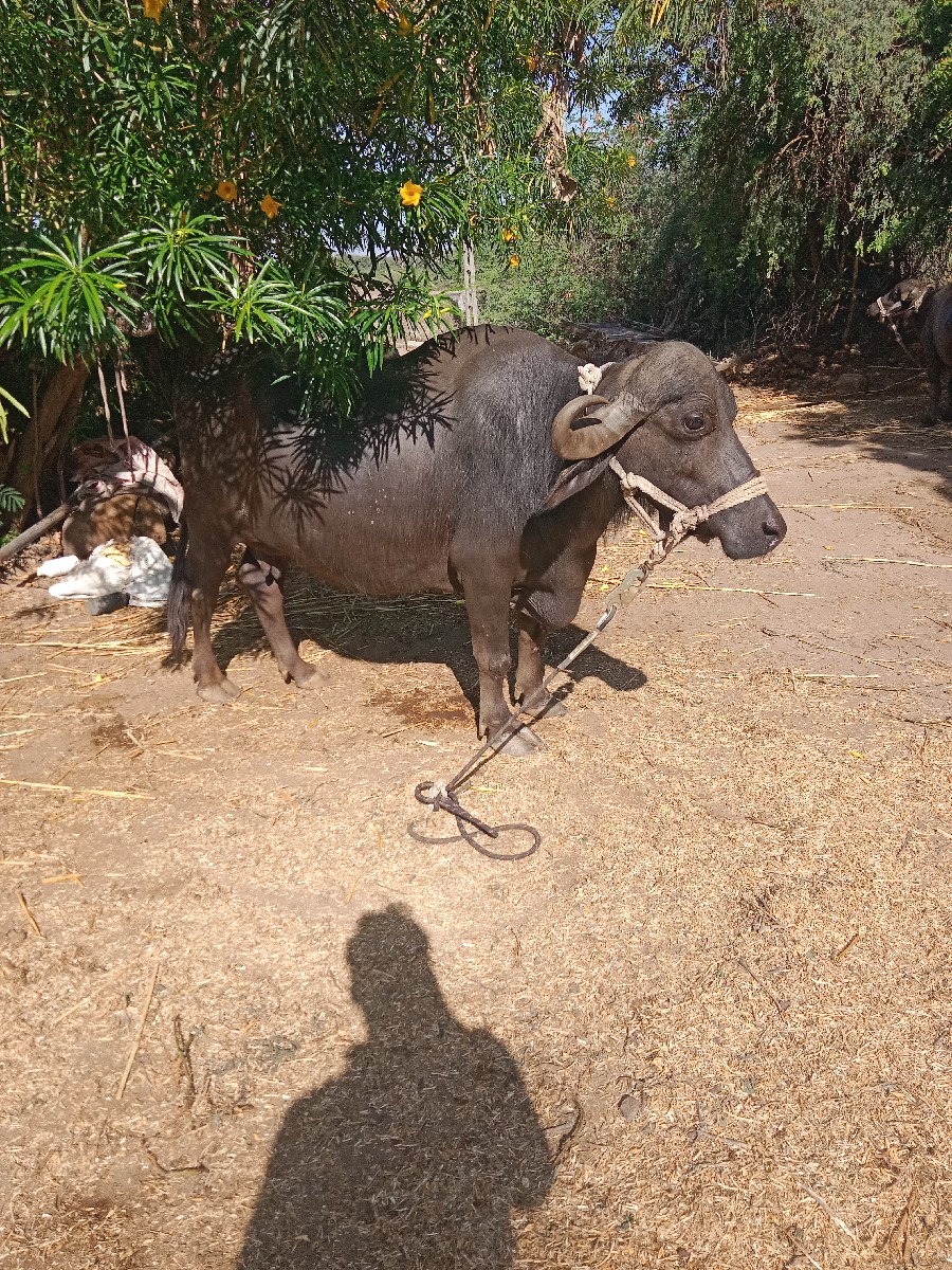 Post Image 2