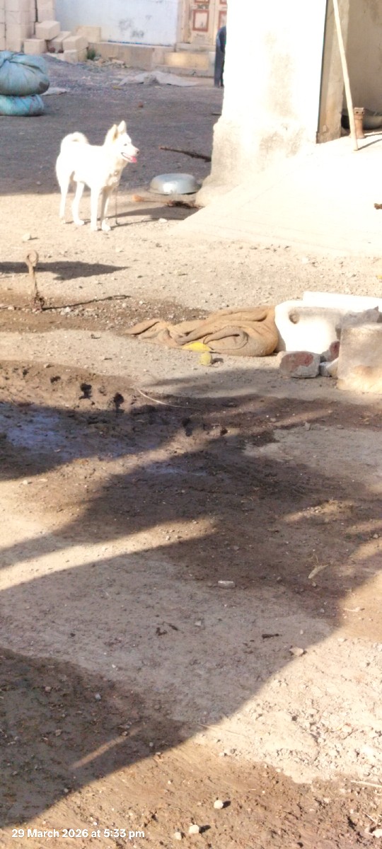 Post Image 2